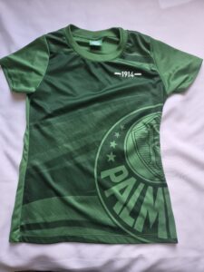 Palmeiras – Infantil