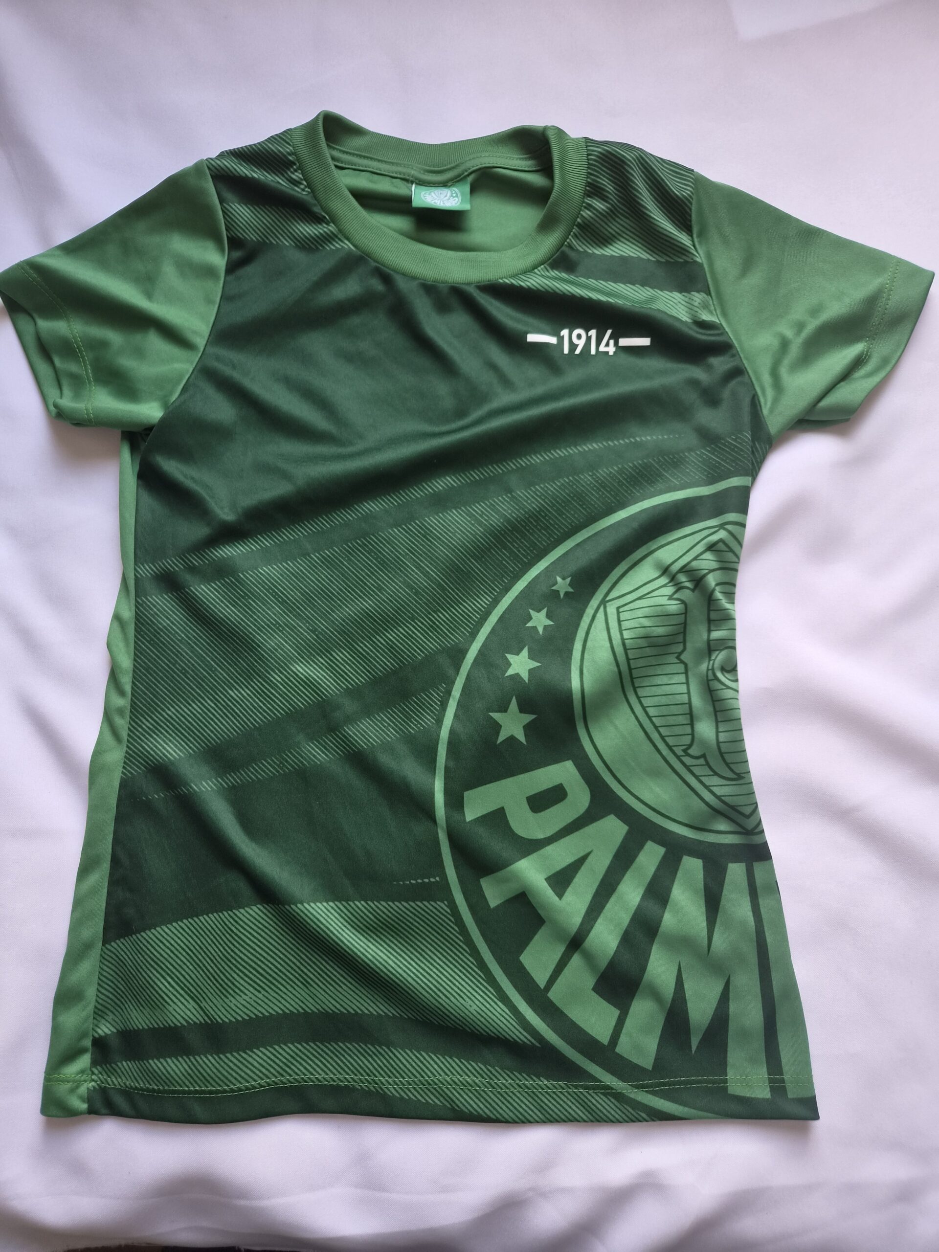 Palmeiras – Infantil