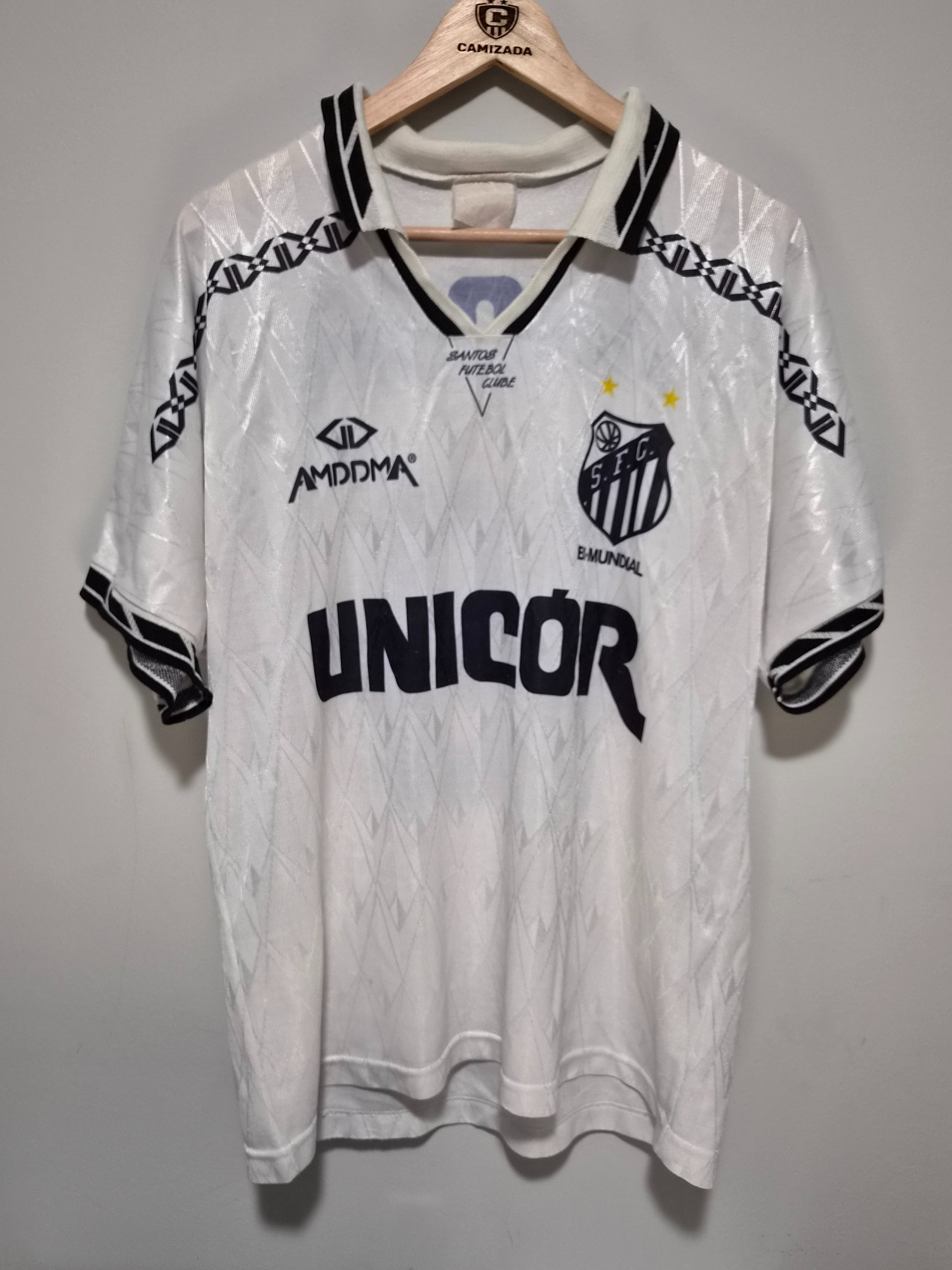 Santos 1995 - Final do Brasileiro